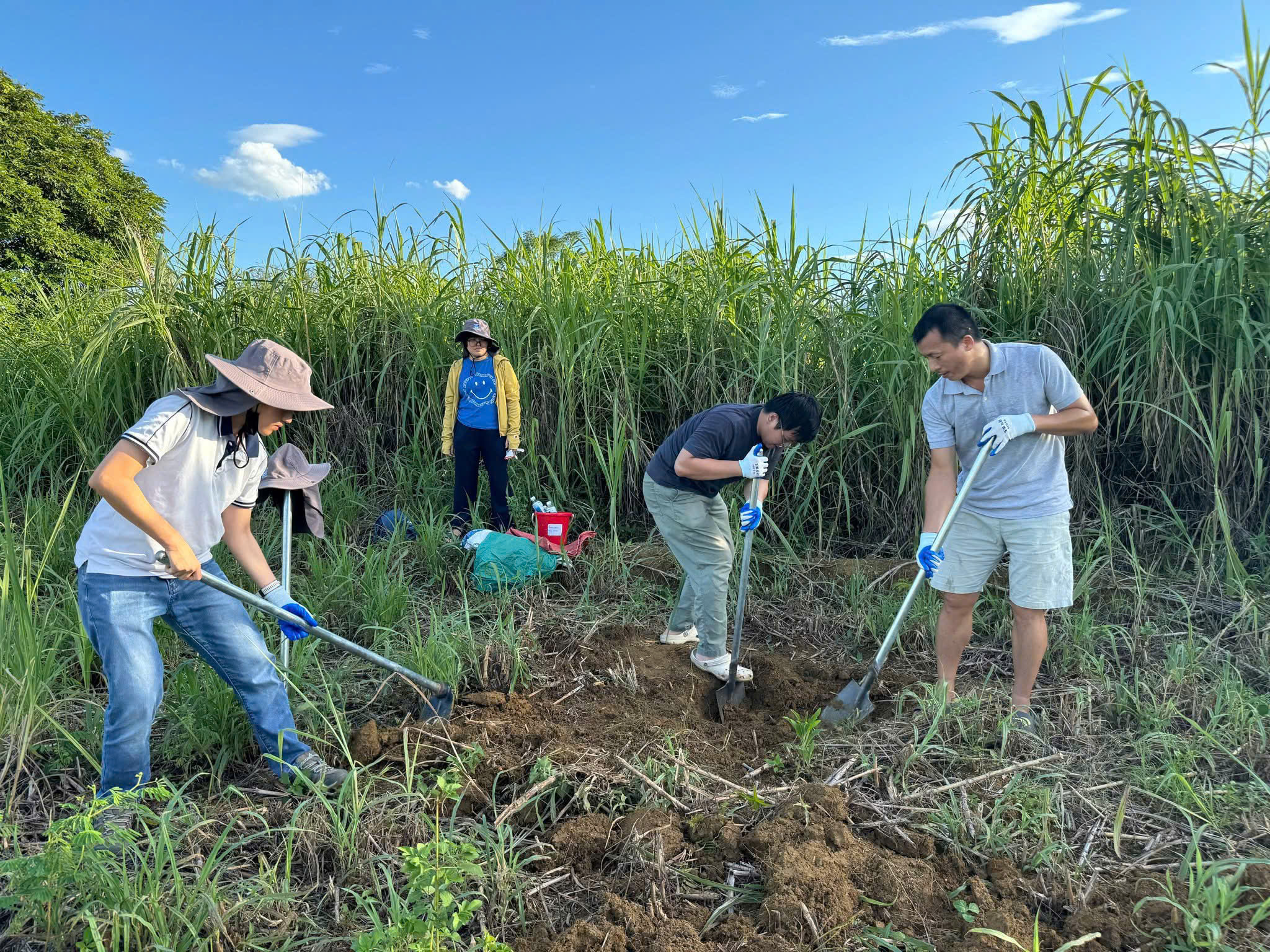 Phương pháp nghiên cứu